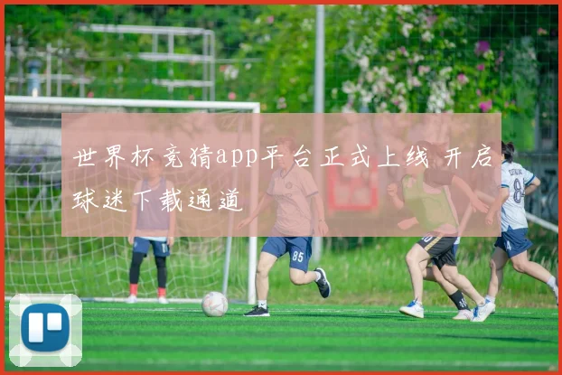 世界杯竞猜app平台正式上线 开启球迷下载通道