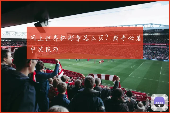 网上世界杯彩票怎么买？新手必看中奖技巧