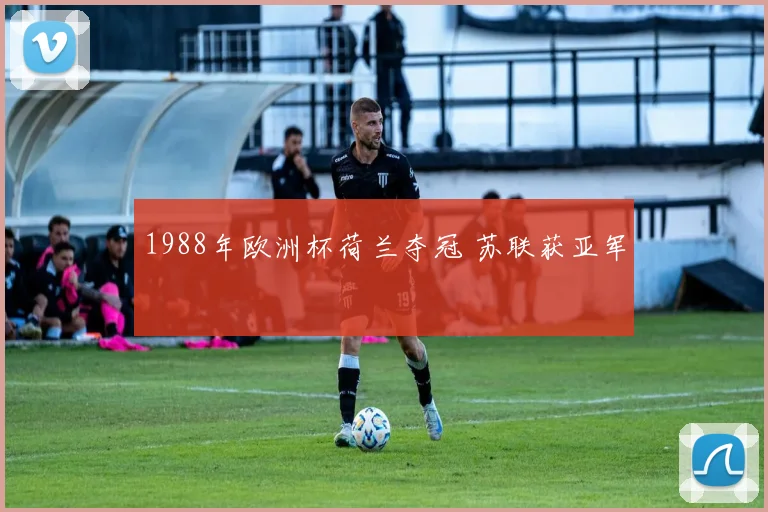 1988年欧洲杯荷兰夺冠 苏联获亚军