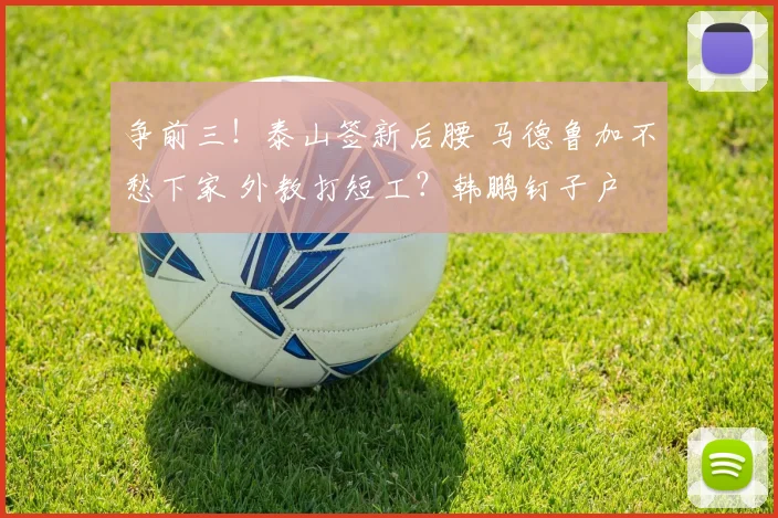 争前三!泰山签新后腰 马德鲁加不愁下家 外教打短工?韩鹏钉子户