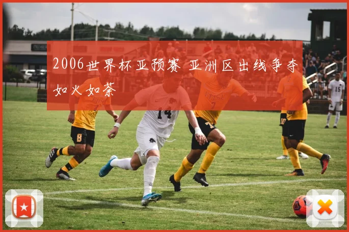 2006世界杯亚预赛 亚洲区出线争夺如火如荼