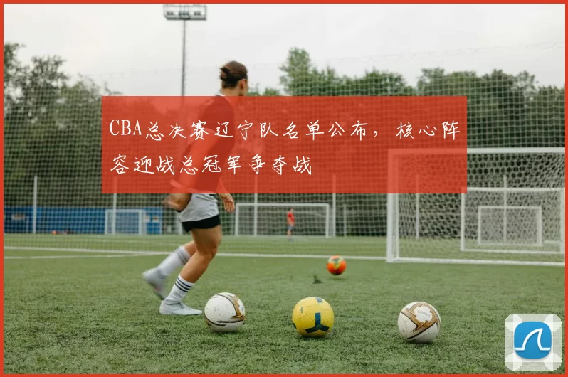 CBA总决赛辽宁队名单公布，核心阵容迎战总冠军争夺战