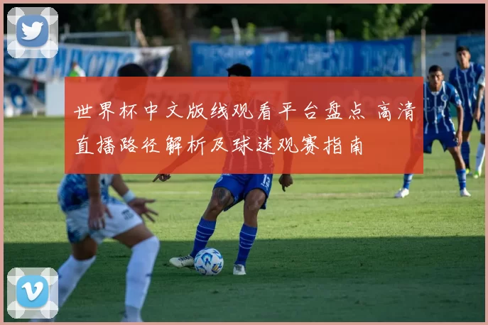 世界杯中文版线观看平台盘点 高清直播路径解析及球迷观赛指南