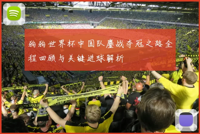 狗狗世界杯中国队鏖战夺冠之路全程回顾与关键进球解析