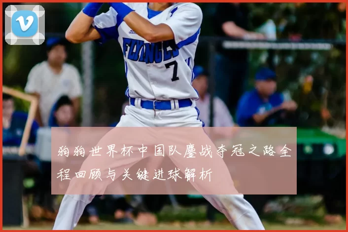 狗狗世界杯中国队鏖战夺冠之路全程回顾与关键进球解析