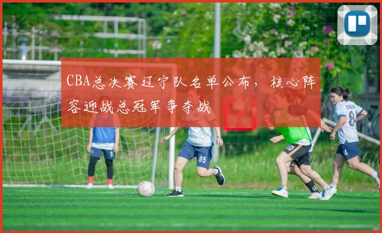 CBA总决赛辽宁队名单公布,核心阵容迎战总冠军争夺战