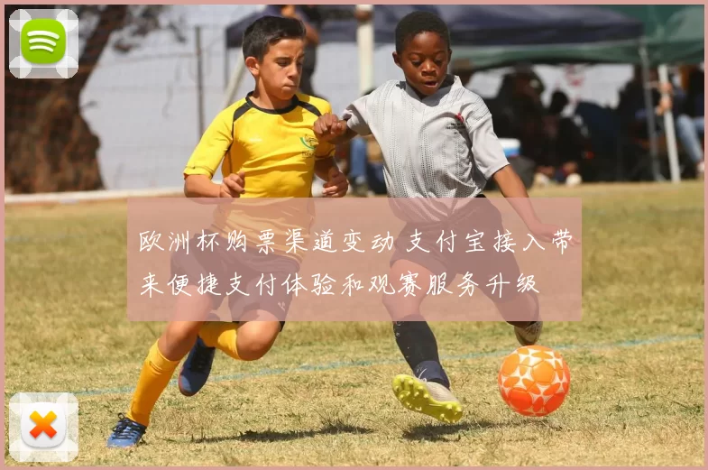 欧洲杯购票渠道变动 支付宝接入带来便捷支付体验和观赛服务升级