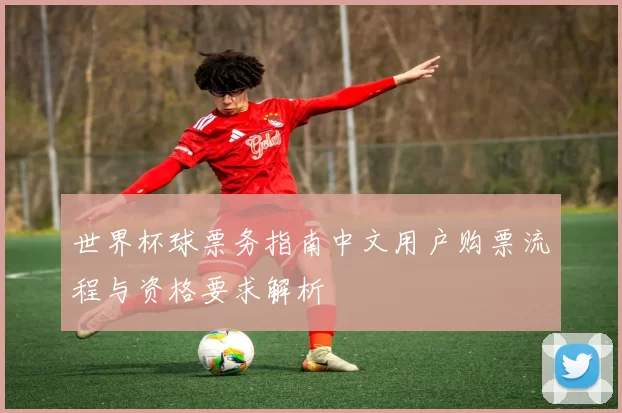 世界杯球票务指南中文用户购票流程与资格要求解析